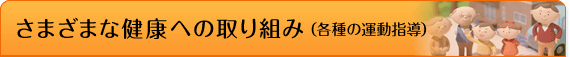 さまざまな健康への取り組み（各種の運動指導）